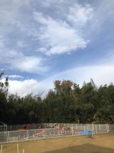 78511967_2402057083392285_4618563412119519232_n