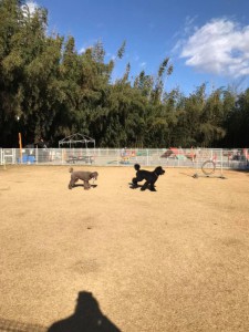 80113143_891827817900967_79440771668770816_n